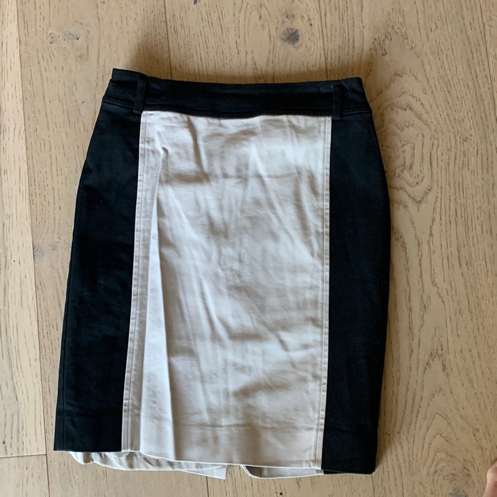 Ann Taylor skirt